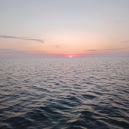 Terra Nova Solis คอสติเนช ภายนอก รูปภาพ